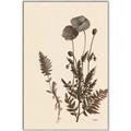 Picture of Vintage Botanical I  _GroupedProduct_Rectangle_Portrait_Canvas_Framed_