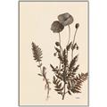 Picture of Vintage Botanical I  _GroupedProduct_Rectangle_Portrait_Canvas_Framed_