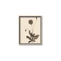 Picture of Vintage Botanical II  _GroupedProduct_Rectangle_Portrait_Canvas_Framed_