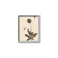 Picture of Vintage Botanical II  _GroupedProduct_Rectangle_Portrait_Canvas_Framed_