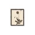 Picture of Vintage Botanical II  _GroupedProduct_Rectangle_Portrait_Canvas_Framed_