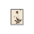 Picture of Vintage Botanical II  _GroupedProduct_Rectangle_Portrait_Canvas_Framed_