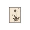 Picture of Vintage Botanical II  _GroupedProduct_Rectangle_Portrait_Canvas_Framed_