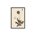 Picture of Vintage Botanical II  _GroupedProduct_Rectangle_Portrait_Canvas_Framed_