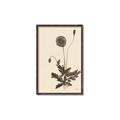Picture of Vintage Botanical II  _GroupedProduct_Rectangle_Portrait_Canvas_Framed_