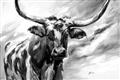 Picture of Longhorn Larry _GroupedProduct_Rectangle_Landscape_Unframed_Print_Only_