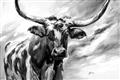 Picture of Longhorn Larry _GroupedProduct_Rectangle_Landscape_Unframed_Print_Only_