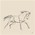 Picture of Sketched Horse II  _GroupedProduct_Square_Unframed_Print_Only_