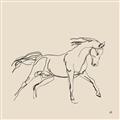 Picture of Sketched Horse II  _GroupedProduct_Square_Unframed_Print_Only_