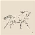 Picture of Sketched Horse II  _GroupedProduct_Square_Unframed_Print_Only_