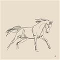 Picture of Sketched Horse II  _GroupedProduct_Square_Unframed_Print_Only_