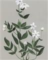 Picture of White flower III _GroupedProduct_Rectangle_Portrait_Unframed_Print_Only_
