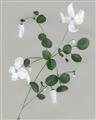 Picture of White flower IV _GroupedProduct_Rectangle_Portrait_Unframed_Print_Only_