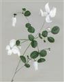 Picture of White flower IV _GroupedProduct_Rectangle_Portrait_Unframed_Print_Only_