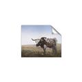 Picture of Roaming Around _GroupedProduct_Rectangle_Landscape_Unframed_Print_Only_