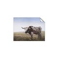 Picture of Roaming Around _GroupedProduct_Rectangle_Landscape_Unframed_Print_Only_