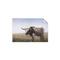 Picture of Roaming Around _GroupedProduct_Rectangle_Landscape_Unframed_Print_Only_