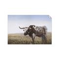 Picture of Roaming Around _GroupedProduct_Rectangle_Landscape_Unframed_Print_Only_