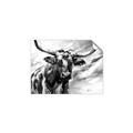 Picture of Longhorn Larry _GroupedProduct_Rectangle_Landscape_Unframed_Print_Only_