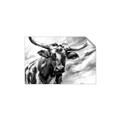 Picture of Longhorn Larry _GroupedProduct_Rectangle_Landscape_Unframed_Print_Only_