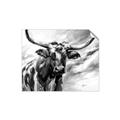 Picture of Longhorn Larry _GroupedProduct_Rectangle_Landscape_Unframed_Print_Only_