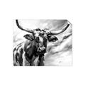 Picture of Longhorn Larry _GroupedProduct_Rectangle_Landscape_Unframed_Print_Only_