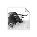Picture of Sketched Horned Cow _GroupedProduct_Square_Unframed_Print_Only_