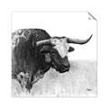 Picture of Sketched Horned Cow _GroupedProduct_Square_Unframed_Print_Only_