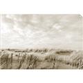 Picture of Grassy View _GroupedProduct_Rectangle_Landscape_Photography _GroupedProduct_Rectangle_Landscape_Unframed_Print_Only_