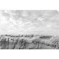 Picture of Grassy View _GroupedProduct_Rectangle_Landscape_Photography _GroupedProduct_Rectangle_Landscape_Unframed_Print_Only_