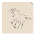 Picture of Sketched Horse I  _GroupedProduct_Square_Unframed_Print_Only_