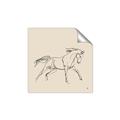 Picture of Sketched Horse II  _GroupedProduct_Square_Unframed_Print_Only_
