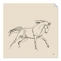 Picture of Sketched Horse II  _GroupedProduct_Square_Unframed_Print_Only_