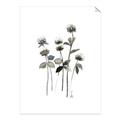 Picture of Black Botanical I  _GroupedProduct_Rectangle_Portrait_Unframed_Print_Only_