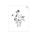 Picture of Black Botanical II  _GroupedProduct_Rectangle_Portrait_Unframed_Print_Only_