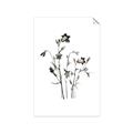 Picture of Black Botanical II  _GroupedProduct_Rectangle_Portrait_Unframed_Print_Only_