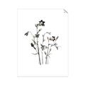 Picture of Black Botanical II  _GroupedProduct_Rectangle_Portrait_Unframed_Print_Only_
