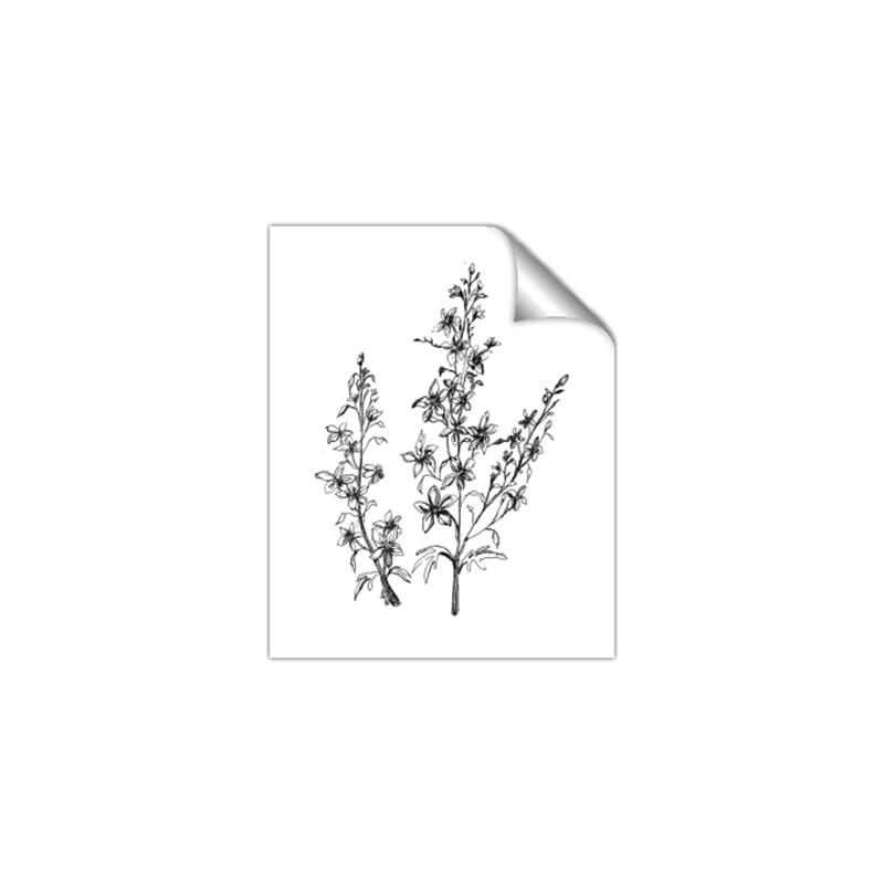 Picture of Whimsy Botanical I  _GroupedProduct_Rectangle_Portrait_Unframed_Print_Only_