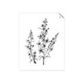 Picture of Whimsy Botanical I  _GroupedProduct_Rectangle_Portrait_Unframed_Print_Only_