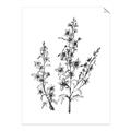 Picture of Whimsy Botanical I  _GroupedProduct_Rectangle_Portrait_Unframed_Print_Only_