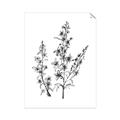 Picture of Whimsy Botanical I  _GroupedProduct_Rectangle_Portrait_Unframed_Print_Only_