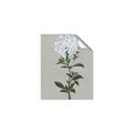Picture of White flower I  _GroupedProduct_Rectangle_Portrait_Unframed_Print_Only_