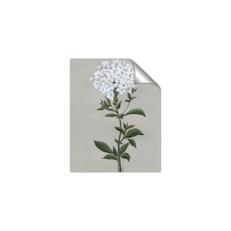 Picture of White flower I  _GroupedProduct_Rectangle_Portrait_Unframed_Print_Only_