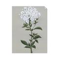Picture of White flower I  _GroupedProduct_Rectangle_Portrait_Unframed_Print_Only_