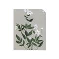 Picture of White flower III _GroupedProduct_Rectangle_Portrait_Unframed_Print_Only_