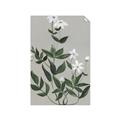Picture of White flower III _GroupedProduct_Rectangle_Portrait_Unframed_Print_Only_