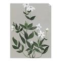 Picture of White flower III _GroupedProduct_Rectangle_Portrait_Unframed_Print_Only_