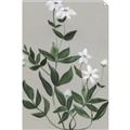Picture of White flower III _GroupedProduct_Rectangle_Portrait_Unframed_Print_Only_