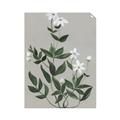 Picture of White flower III _GroupedProduct_Rectangle_Portrait_Unframed_Print_Only_
