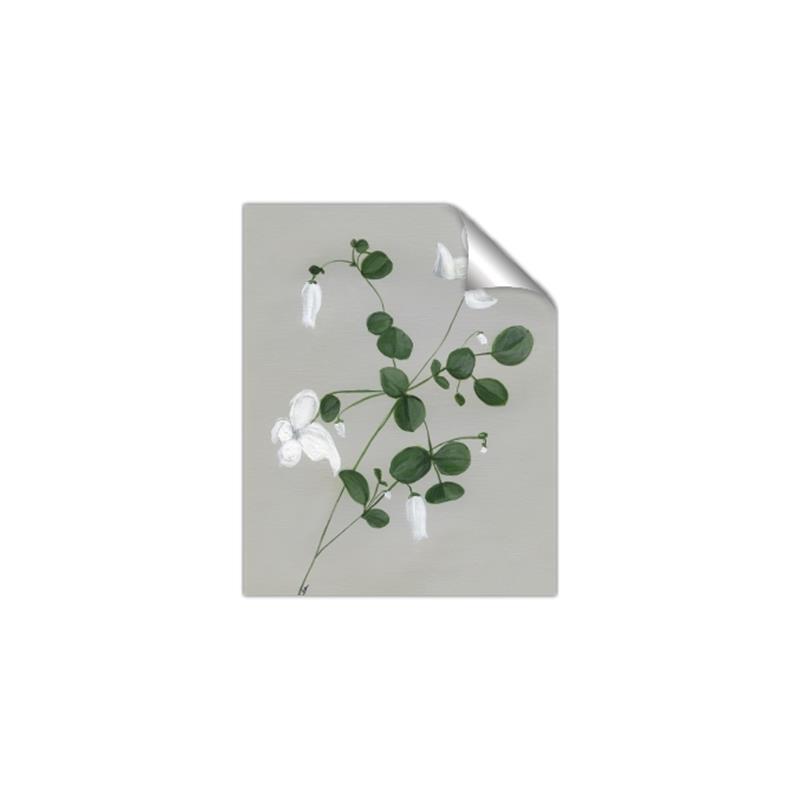 Picture of White flower IV _GroupedProduct_Rectangle_Portrait_Unframed_Print_Only_